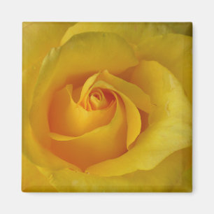 Yellow Rose Magnet Flower Gifts Keepsake Decor