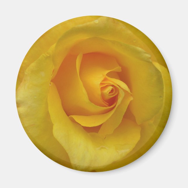 Yellow Rose Magnet Flower Gifts Keepsake Decor (Front)