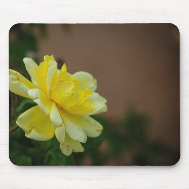 Yellow Rose Mouse Pad (Front)