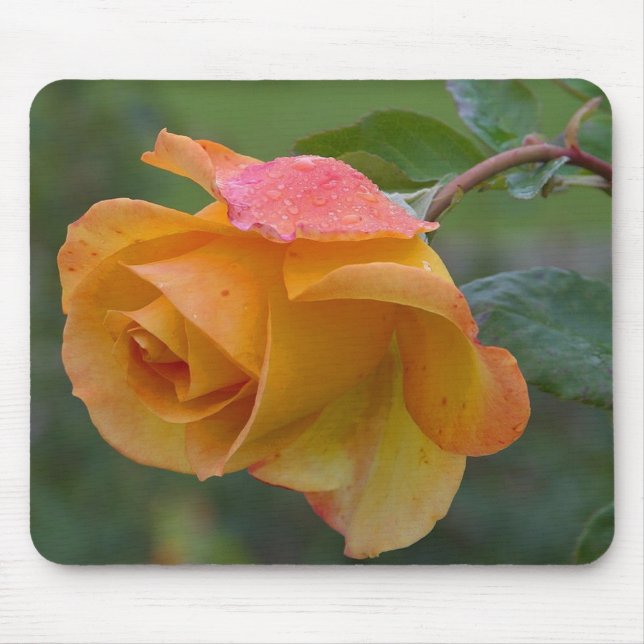 Yellow Rose Mouse Pad (Front)