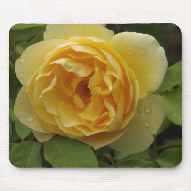 Yellow Rose Mouse Pad (Front)