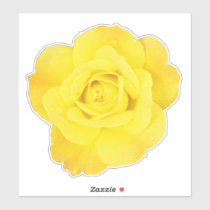Yellow Rose National Friendship Day Floral Flowers