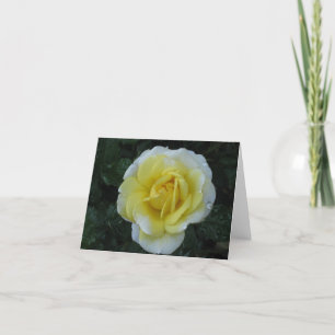 Yellow Rose note card