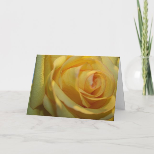 YELLOW ROSE NOTE CARDS (Front)