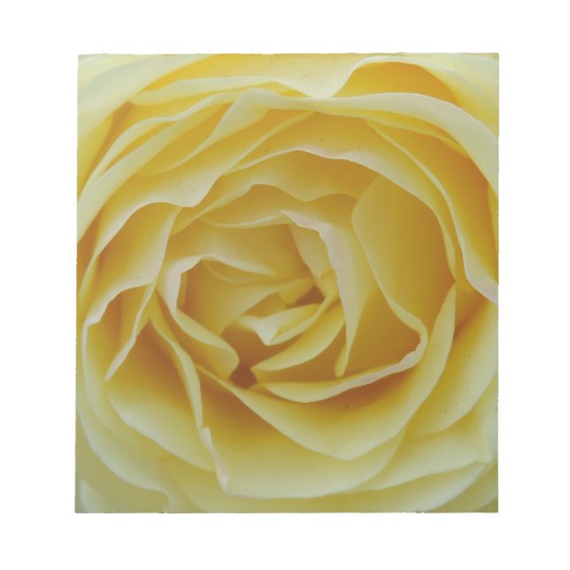 Yellow Rose Notepad (Front)