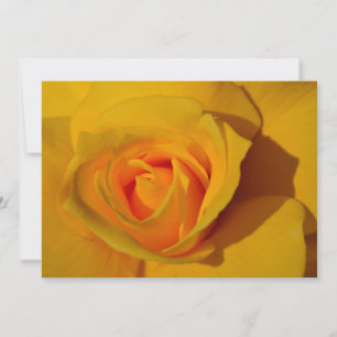 Yellow Rose orange rose romantic rose Invitation