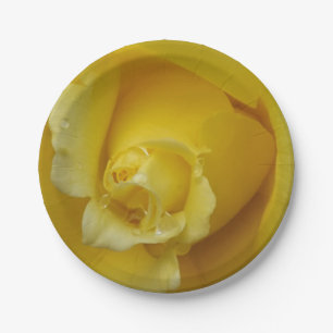 Yellow rose paper plates