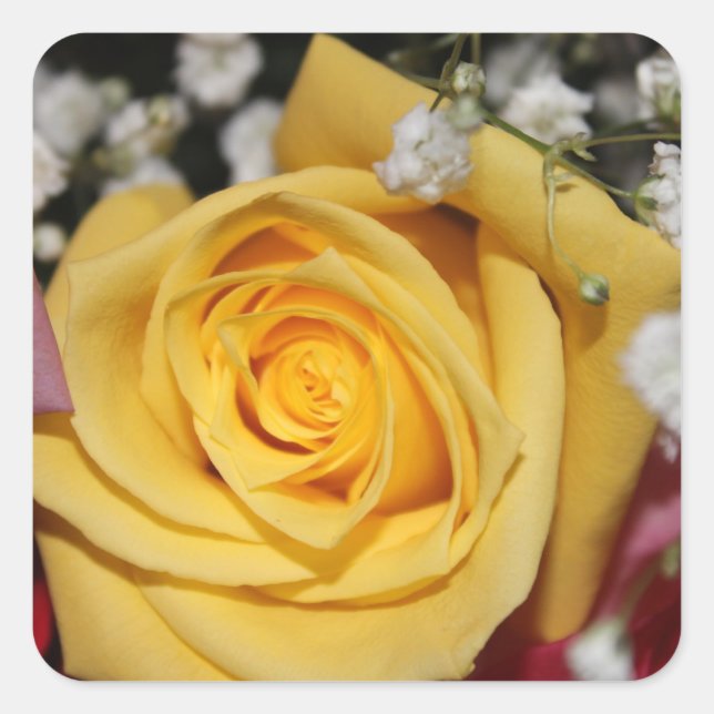 Yellow Rose Petal Sticker (Front)