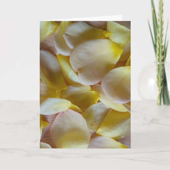 Yellow Rose Petals Card (Front)