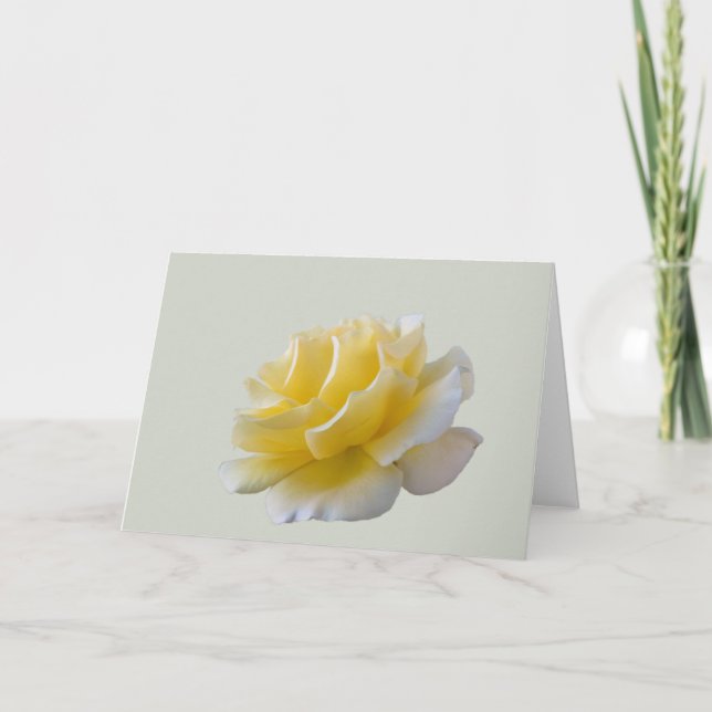 Yellow rose petals card (Front)