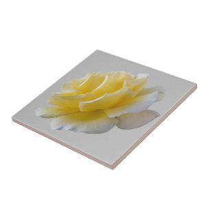 Yellow rose petals ceramic tile