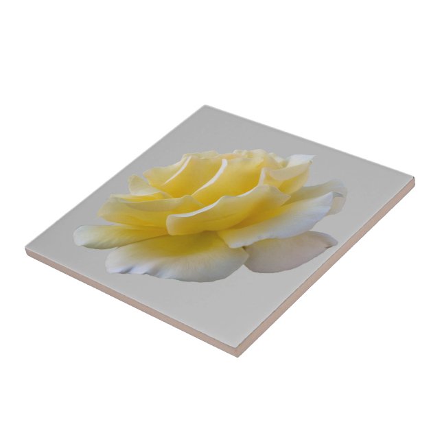 Yellow rose petals ceramic tile (Side)