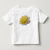 Yellow rose petals