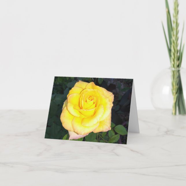 Yellow Rose Photo Folded Note Card (Front)