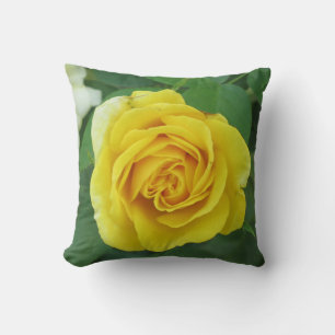 Yellow Rose Photo Pillow Nature Lovers Gardeners