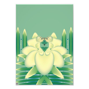 Yellow Rose Photo Print