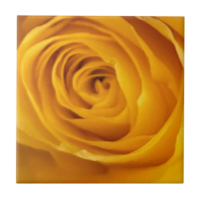 Yellow Rose Photo Tile (Front)