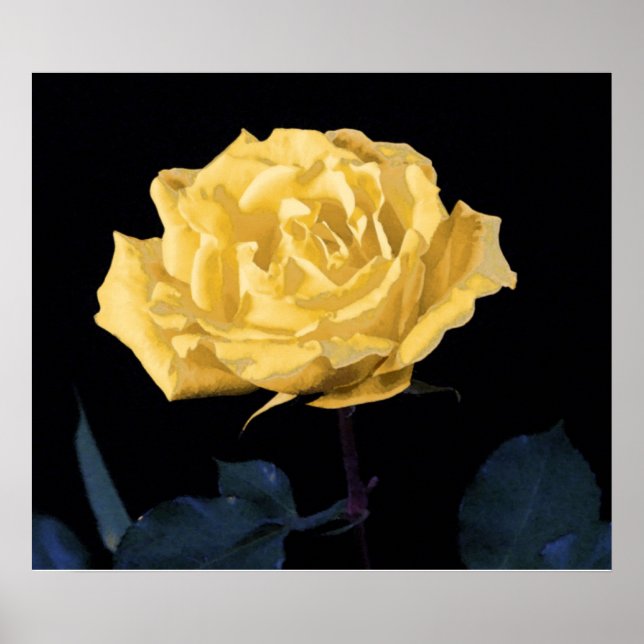 Yellow Rose Poster (Front)