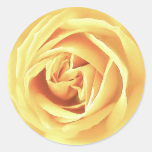 Yellow rose print classic round sticker