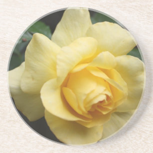 Yellow Rose Sandstone Coaster