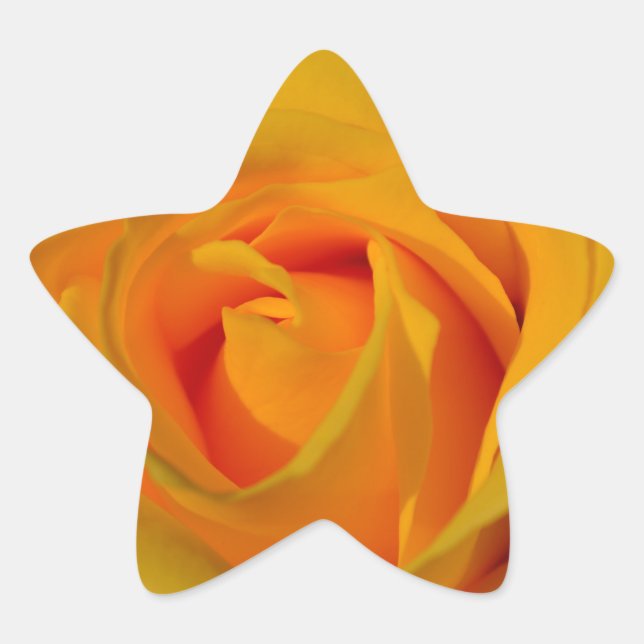 Yellow Rose Star Sticker (Front)