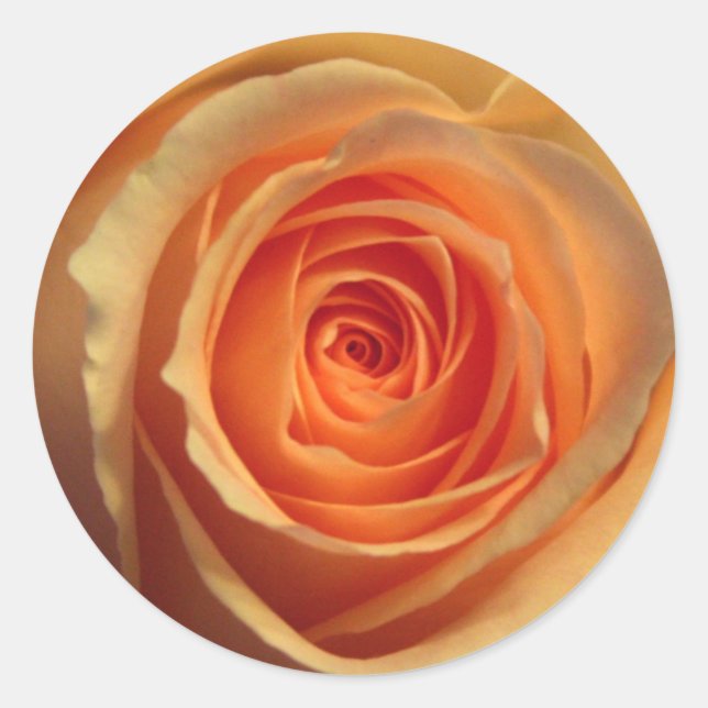 Yellow Rose Sticker (Front)