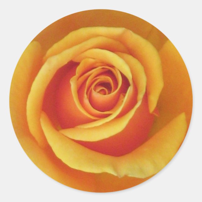 Yellow Rose Sticker (Front)
