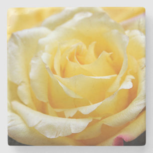 Yellow rose stone coaster