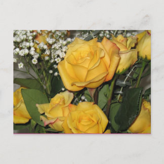 Yellow Rose Sun Postcard