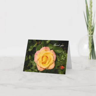 Yellow rose Thank You card