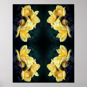 Yellow Rose Trio Abstract   Poster