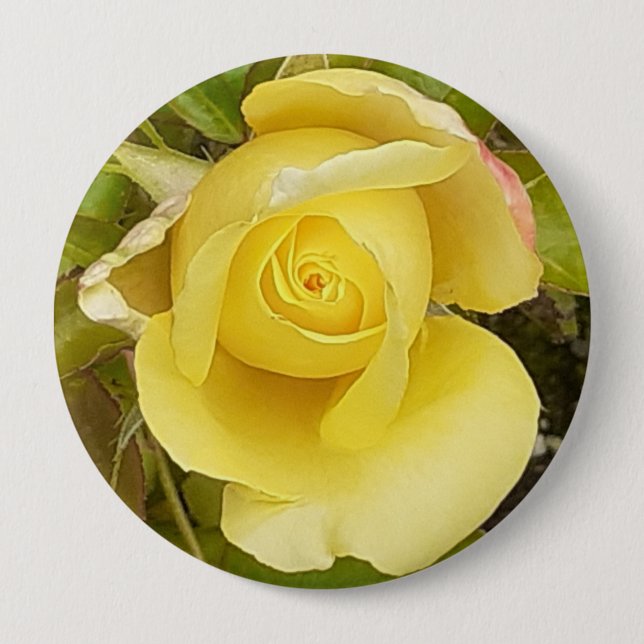 Yellow Rosebud Badge (Front)