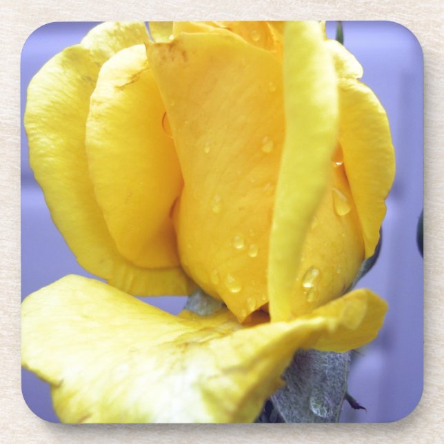 Yellow Rosebud Coaster (Front)