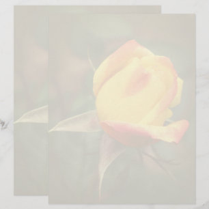 Yellow Rosebud Flower  Custom Letterhead