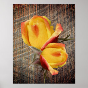 Yellow Rosebud Flowers On Barnboard Poster