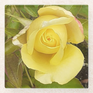 Yellow Rosebud Glass Coaster