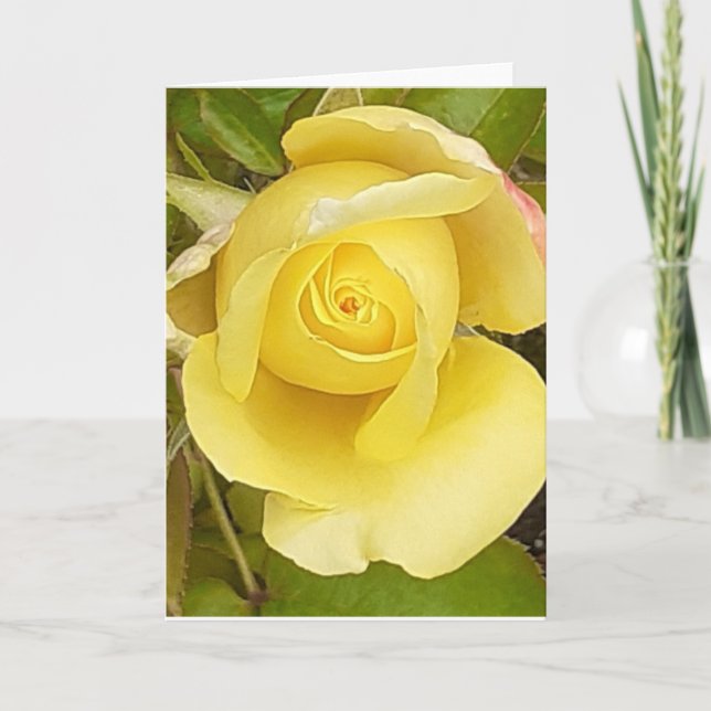Yellow Rosebud Greeting Card (Front)