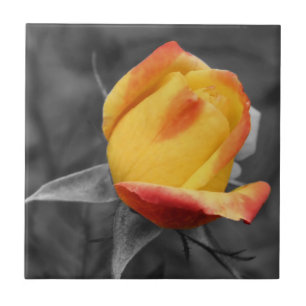 Yellow Rosebud In Black And White Ceramic Tile