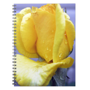 Yellow Rosebud Notebook