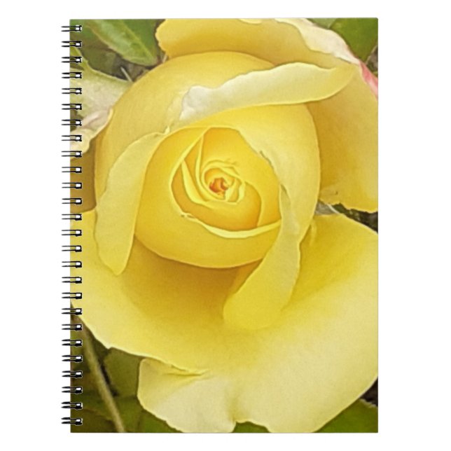 Yellow Rosebud Spiral Notebook (Front)