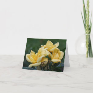 Yellow Rosebuds Flower Photography Note Card