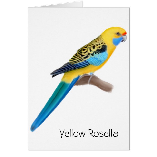 Yellow Rosella Parrot Card (Front)