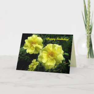 Yellow Roses Birthday Card