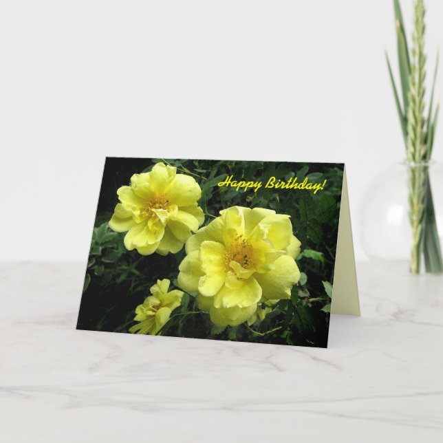 Yellow Roses Birthday Card (Front)