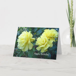 Yellow roses Birthday Card