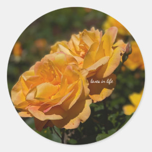 Yellow Roses Classic Round Sticker