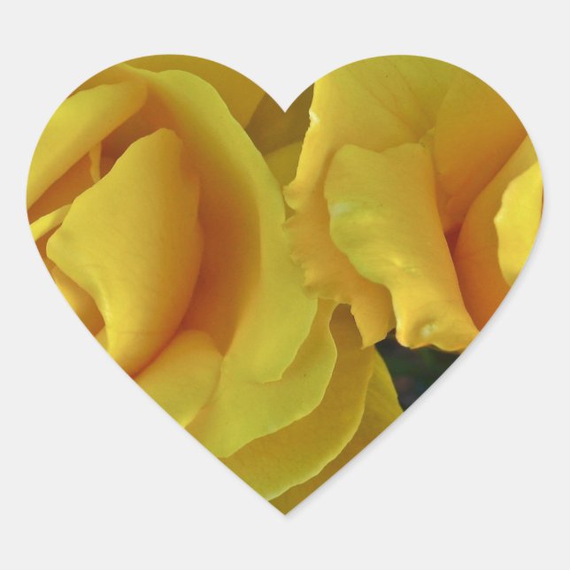 Yellow Roses Floating In Space Heart Sticker (Front)