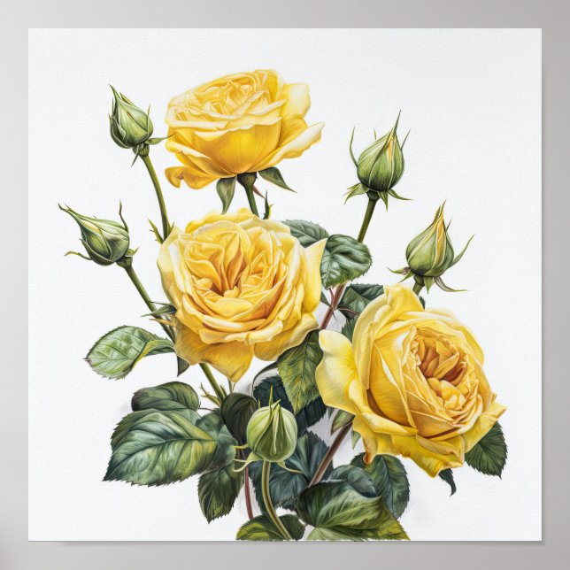 Yellow Roses Flower Art Print Poster (Front)