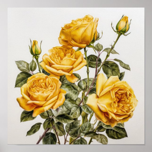 Yellow Roses Flower Art Print Poster (Front)