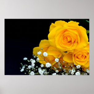 Yellow roses flower Poster